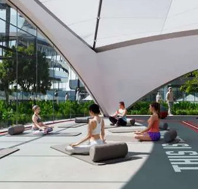 THE WELLNESS HUB